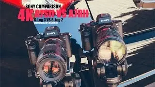Sony A7S II M2 VS A7R II M2 4K Video Test (S-log 3 VS S-log 2)