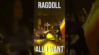 All I Want Is Everything LIVE | RAGDOLL #shorts #rock #reels