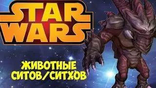 Звёздные Войны | Твари ситов/ситхов | Star Wars