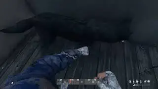 Rude Dog Provides No Steaks — DayZ