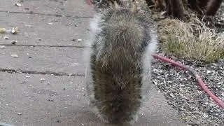 Что может означать когда видишь в человеке другого человека?