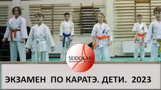 Очередной экзамен по каратэ . Детская группа. 05.11.2023 г.