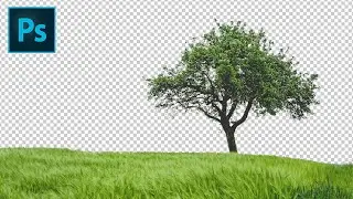 how to cut out a tree in Photoshop | Make selection of tree