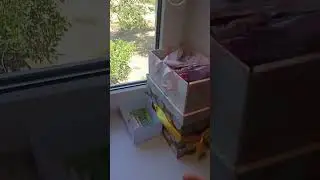 обзор на лампу😁