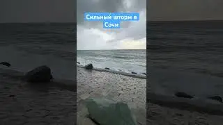 Сильный шторм в Сочи