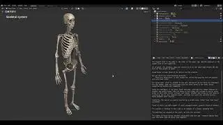 10 Basics of Blender: Appending Z-Anatomy