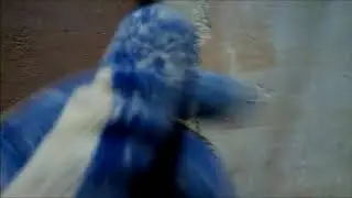 Выдергиваем маяки