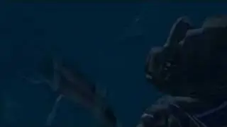 Storm: Spermwhale