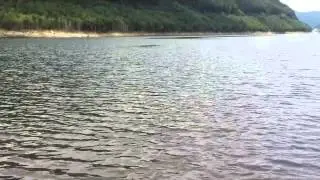 Intr-o zi de vara...
