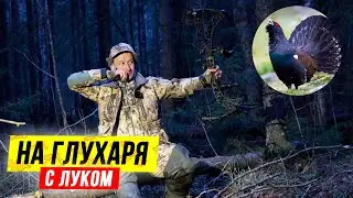 🔥 Охота на ГЛУХАРЯ на току с лука. Песня ГЛУХАРЯ. Охота с луком весной