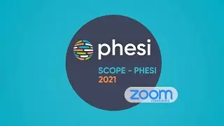 Example video - ZOOM conference.