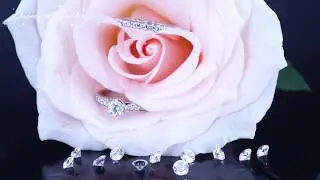 Кольца с бриллиантами💎 от Diamond Gallery!
