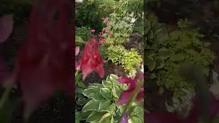 #shorts Матушка земля.