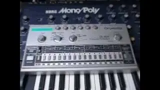 TR606 Dub