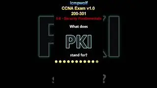 Cisco CCNA: What does PKI stand for? - #icmpwolf #cisco_certification