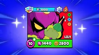 The Best Build to Push Lily to 1k Trophies 🏆(Brawl Stars)