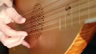Lute dance by Pierre Phalèse: Allemande 'Pouloingne' & reprinse