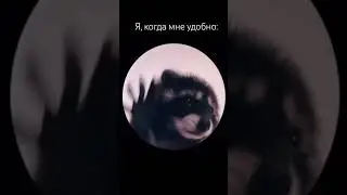 Вы знаете что такое адаптивная одежда? Одежда от компании Ортомода https://orthomoda.ru
