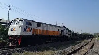 CC 206 13 40 SDT ft KLB Ballast D8