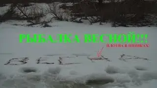 Рыбалка весной /зимняя рыбалка закрытие / ловля плотвы