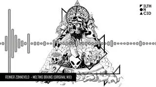 Reinier Zonneveld - Melting Brains (Original Mix)