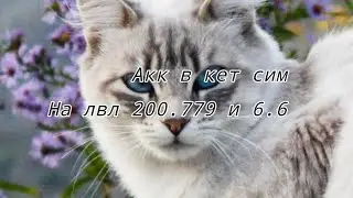 Акк в кет сим на лвл 200.779 и 6.6