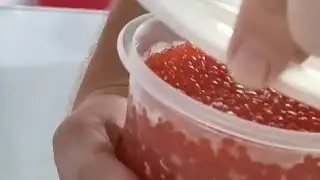 Обучающие видео по вскрытию банки красной икры, специально для участников SovPok