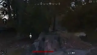 Not so common Flick Shots