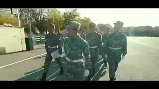 2 19 отар домой домой домой
