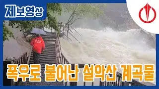 폭우로 불어난 설악산 비선대 계곡물 / 강원일보