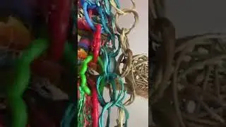 SOLD  This beautiful boy is such a sweetheart  #usa #trendingnow #viralvideoシ #viralpost #famous