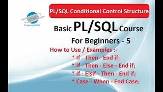 PL/SQL Conditional Statements Example - Case Statements in PL SQL - If Then Else in PL SQL