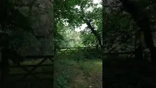 Beautiful English Countryside tiktok elisetanriverdi