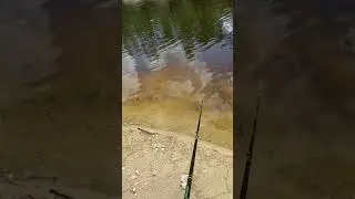 Did you see it???