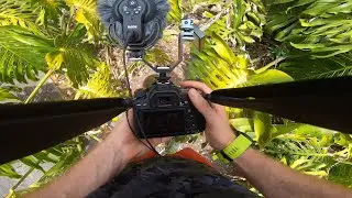 POV Macro in the garden with the 