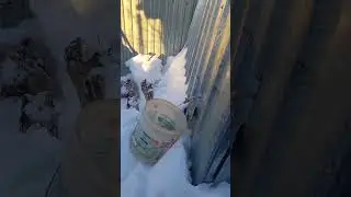 на больничном в своем доме 
