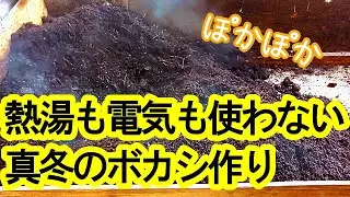 はっこう