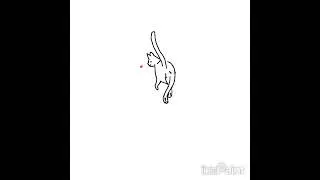 просто анимация котика #cat #funny #animation