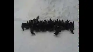 Фильм