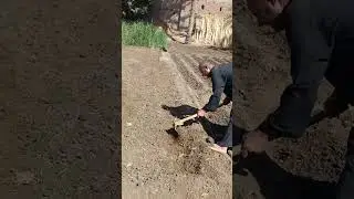 الفلاح الحاج محمود ابو محمد