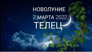 ТЕЛЕЦ 🌙НОВОЛУНИЕ 2 МАРТА 2022