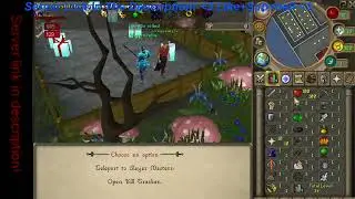 New Brand Custom Rsps 2023