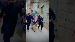 Zuljinah Baramdagi 8 Muhharram Faisalabad 2024 🙌🏻🔥#zuljinah #shorts #shortsvideo #youtubeshorts