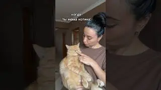 Ну что за сладкий пирожок 🥹❤️ #рыжийкот #cat #кот #юмор #прикол #питомцы #котики #шортс #мем