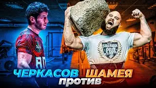 Черкасов против Шамея | Чуботару против Cкулбоя | Сергей Данилов идет в АРМ