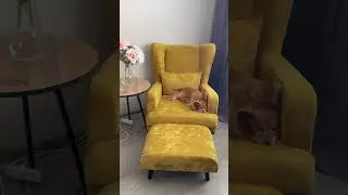 Создаю Уют в квартире 😁Новая мебель #москвичка