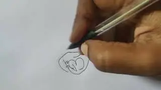 How to draw Angry Bird with number 31/Draw Angry Bird with number/Easy drawing#drawing#howtodraw#art