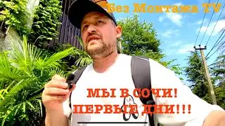 МЫ В СОЧИ / ПЕРВЫЕ ДНИ ОТПУСКА 2024