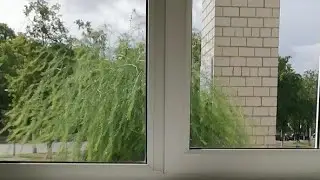 2019 07 10 Прокуратура
