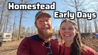A day on our HOMESTEAD || Off-Grid